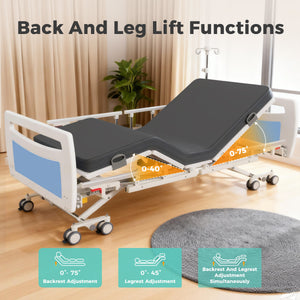 OLERN Ultra Low Hospital Bed – 10" Low Height, Wing Side Rails, Waterproof Mattress